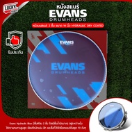 หนังสแนร์ หนังบน Evans 14" รุ่น Hydraulic Blue Coated B14HB หนังบนสแนร์ สีฟ้า 2 ชั้น ของแท้ Made in 