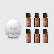 Taeyeon stone fragrance set INVU 太妍 10週年擴香石 泰妍