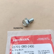 Screws, tail port bolts, saddle handle DREAM zin 8x14 95701-080-1400, 95701-080-1408