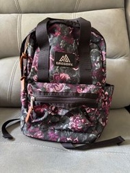 Gregory Backpack