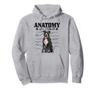 Anatomy Of A Pitbull Dog Funny Cute Pitbull Mom Pitbull Dad Pullover Hoodie