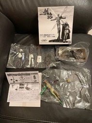 創絕 HDM 魂限定 幪面超人 W E哥 ETERNAL 最終對決中的 RIDER