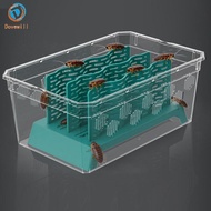 [Dovewill] Reptile Food Cup Climb Friendly Blue Plastic Bowl Durable Accessories for Bearded Dragon 