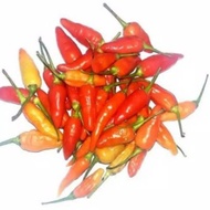 MERAH Red Cayenne Pepper - 500gram