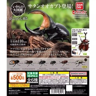 [BTF] Bandai Gashapon Biological Illustrated Book 05 Insect Simulation Beetle Satan Big Pocket Worm 