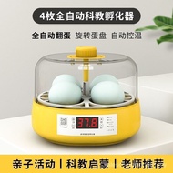 [Nuanfubao] Egg Incubator Chick Incubator Small Household Type Children's Incubator Parrot Mini Automatic Incubator 1 Piece Hatching Chick's Machine Smart Egg Incubator