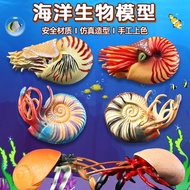 Simulation Marine Life Model Parrot Snail Toy Ammonite Hermit Crab Plastic Children Science Educatio