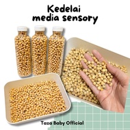 Soybean Sensory Play / Sensory Toys / Sensory Play Media / Sensory Play Toys / Sensory Bin