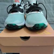 Nike Zoom Freak 3 EP 白綠 US 9.5