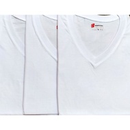 Kentucky Vneck Tshirt White for Men / Adult