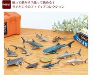 Colorata 立體圖鑑 Sharks of the World 鯊魚模型收藏盒
