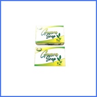 ▩ ∬ ≈ Healing Galing Guava Soap 125g Set of 2