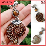 Chakra Reiki Ammonite Fossil Stone Pendant Healing Amulet Energy Tiger Eye Stone Beads  Jewerly Pend
