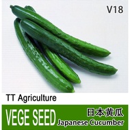 日本黄瓜种子 / Japanese Cucumber seeds ( 15seeds+-) Ready stock