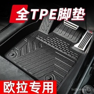 Suitable for Euler Good Cat GT Euler Black Cat Special Car TPE Car floor mats full set double-layer 