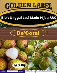 Bibit Unggul Leci Madu Hijau RRC |Biji Benih Leci RRC Hijau|Bibit Leci