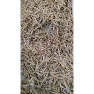 Ikan bilis belum kopek(1kg)
