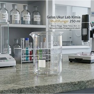 One Two Cups Multifunctional Borosilicate Glass Chemical Lab Measuring Cup 250ml - GG-17