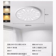 簡約吸頂燈【煙花款40cm-三色變光24W】