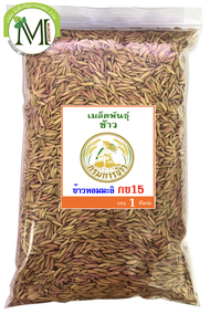 เมล็ดพันธุ์ข้าวปลูก ข้าวหอมมะลิ กข15  น้ำหนัก 1 กิโลกรัม