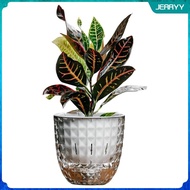 [Wishshopeljj] Self Watering Planter Plant Pot Clear Plant Container Jar Flower Pot