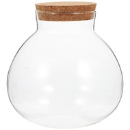 Empty Glass Jar Glass Bottle Diy Micro-landscape Bottle Durable Ecological Bottle