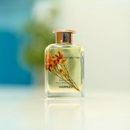 天然茶香桂花烏龍藤枝家居香薰 寵物友善 禮物