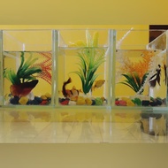 Aquarium Mini Lengkap Hiasan
