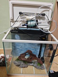 更新 中型魚缸 + 燈、過濾器、 usb 電動換水器，假山裝飾，即買即用
