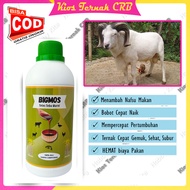BIGMOS Penggemuk Kambing Domba Molase Tetes Tebu Murni Penambah Nafsu Makan Hewan Ternak Sapi