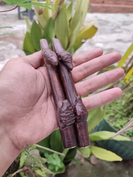 Pipa Once  Kayu Galih Asem Model Pring Pethuk Panjang 15cm
