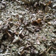 terlaris Daun indigofera kering