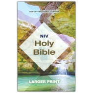 NIV - Holy Bible, Larger Print, Economy Edition, Teal/Tan, Paperback NIV Bible