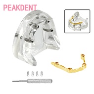 Dental implant restoration model edentulous half-mouth comprehensive pathological implant restoratio