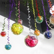 [TENOL] 5 Pack Clear Plastic Fillable Christmas Tree Ornaments DIY Bath   Transparent Sphere Christm