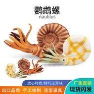 Fun Children's Toys Ammonite Parrot Snail Model Children's Cognition Ancient Marine Life Animal Mode