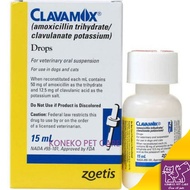 Antibiotics for dogs and cats