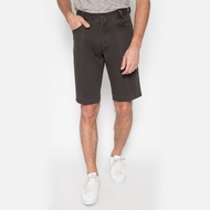 LGS - Men's Casual Shorts in Brown Regular Fit - CSP.777.002.858.C C C C