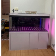 Kintons 5 Feet 5x2x2 Feet Aquarium Basic Set / Full Set Premium