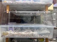 （圖片內全部包括🐹）熊仔倉鼠 籠 亞克力高透倉鼠籠  大基礎籠  連熊仔 Hamster and cage