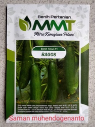 Benih Timun F1 BAGOS MMT SEED 20 Gram - Bibit timun BAGOS BAGUS ketimun mentimun