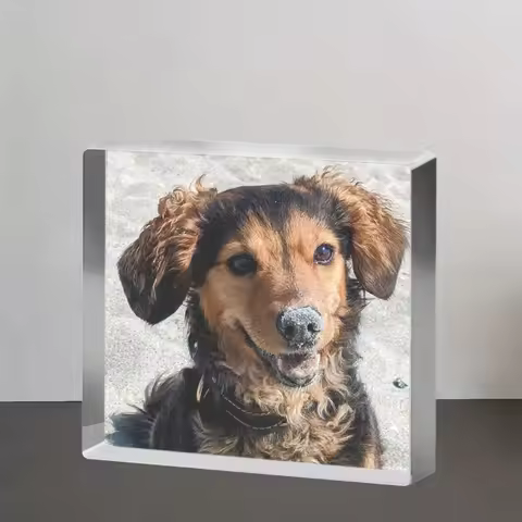 1PC Custom Acrylic Pet Photo Frame, Handmade 3D Desktop Keepsake, Personalized Pet Memorial Ornament