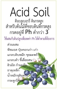 ดินบลูเบอรรี่ ดินกรดสูง (Acid Soil ) 2 ลิตร   Big Box Love