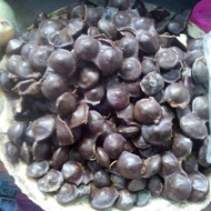 BUAH JERING FRESH / ULAM JERING / JERING MUDA READY STOCK