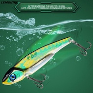 LEMONTRE 1Pcs Hard Squid Bait, 5g 15g  Eyes  Fishing Lure, Universal Sinking Lifelike Metal Artifici