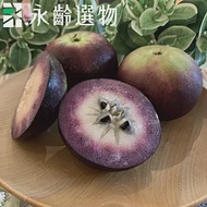 【永齡選物】夢幻紫牛奶果提盒1.2kg±10%(5入)