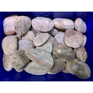 Femolay Stream Stone | Size 20cm - 40cm | 10kg BOX