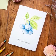 水果插畫明信片 藍莓