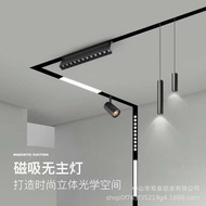 Embedded Magnetic Track Light Pre-embedded Hidden Main Light Lighting Living Room Household Frameles