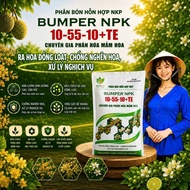 Bumper NPK 10-55-10+TE Fertilizer - 1kg Pack